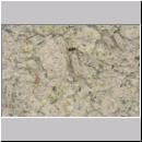 B-Odynerus spinipes Nester 02.jpg